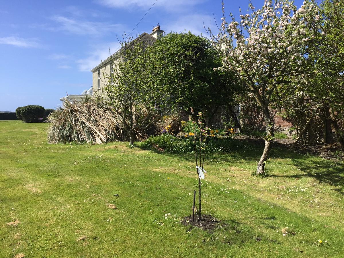 Berry Lodge Country House Spanish Point Buitenkant foto